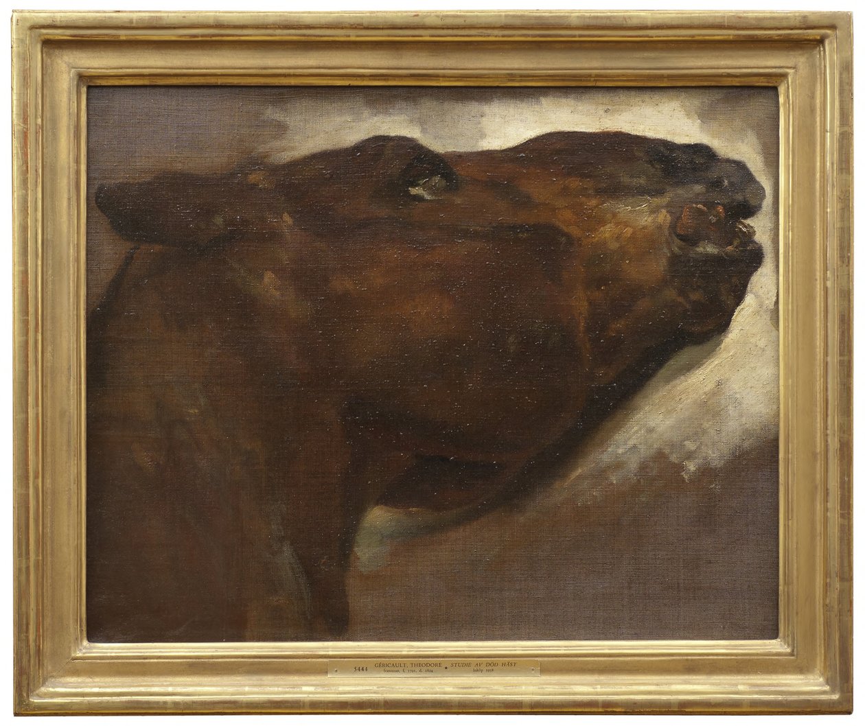 Studium martwego konia autorstwa Theodore Gericault