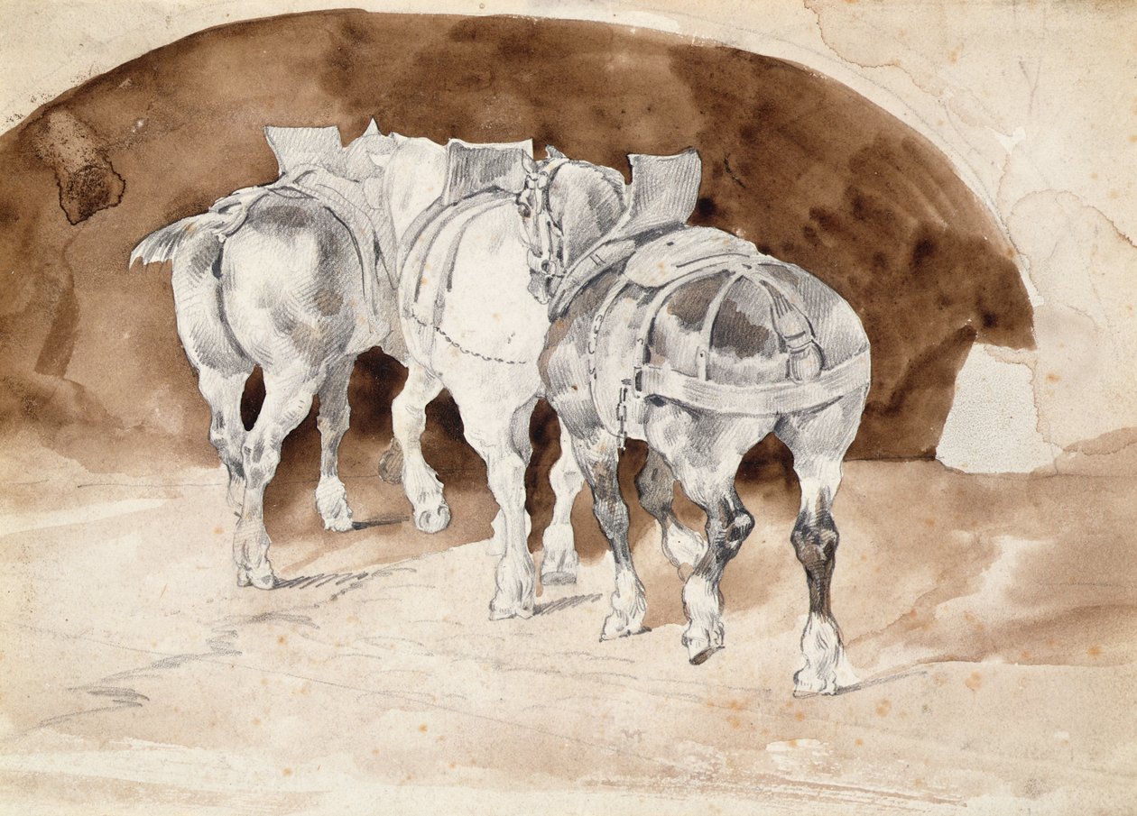Trzy ciężkie konie w uprzęży (mycie ołówkiem i sepią) autorstwa Theodore Gericault