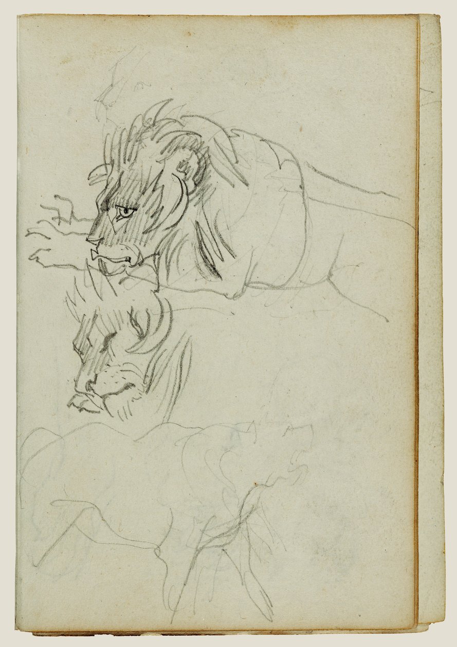 Trzy badania nad lwami autorstwa Theodore Gericault