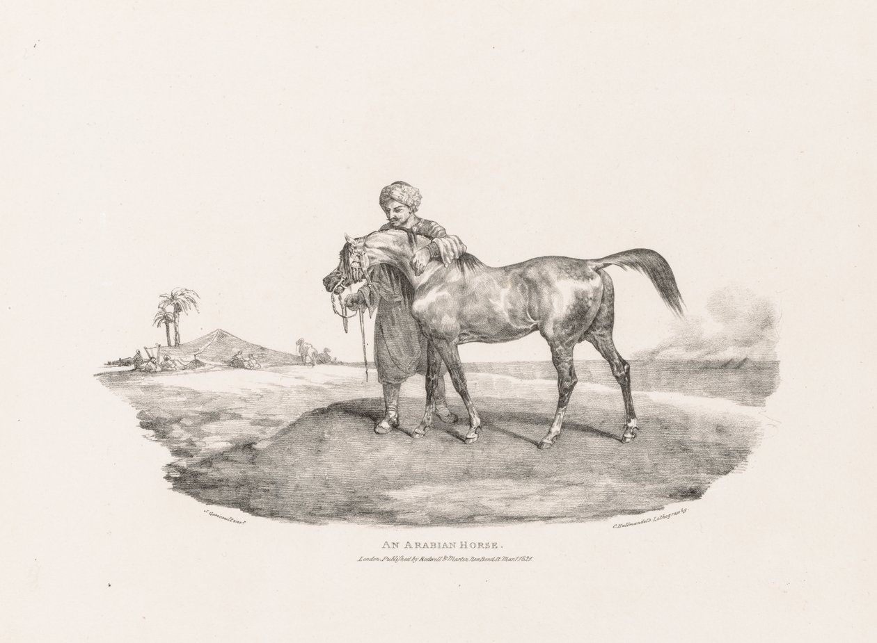 Różne motywy z natury i na kamieniu:  Koń arabski autorstwa Theodore Gericault