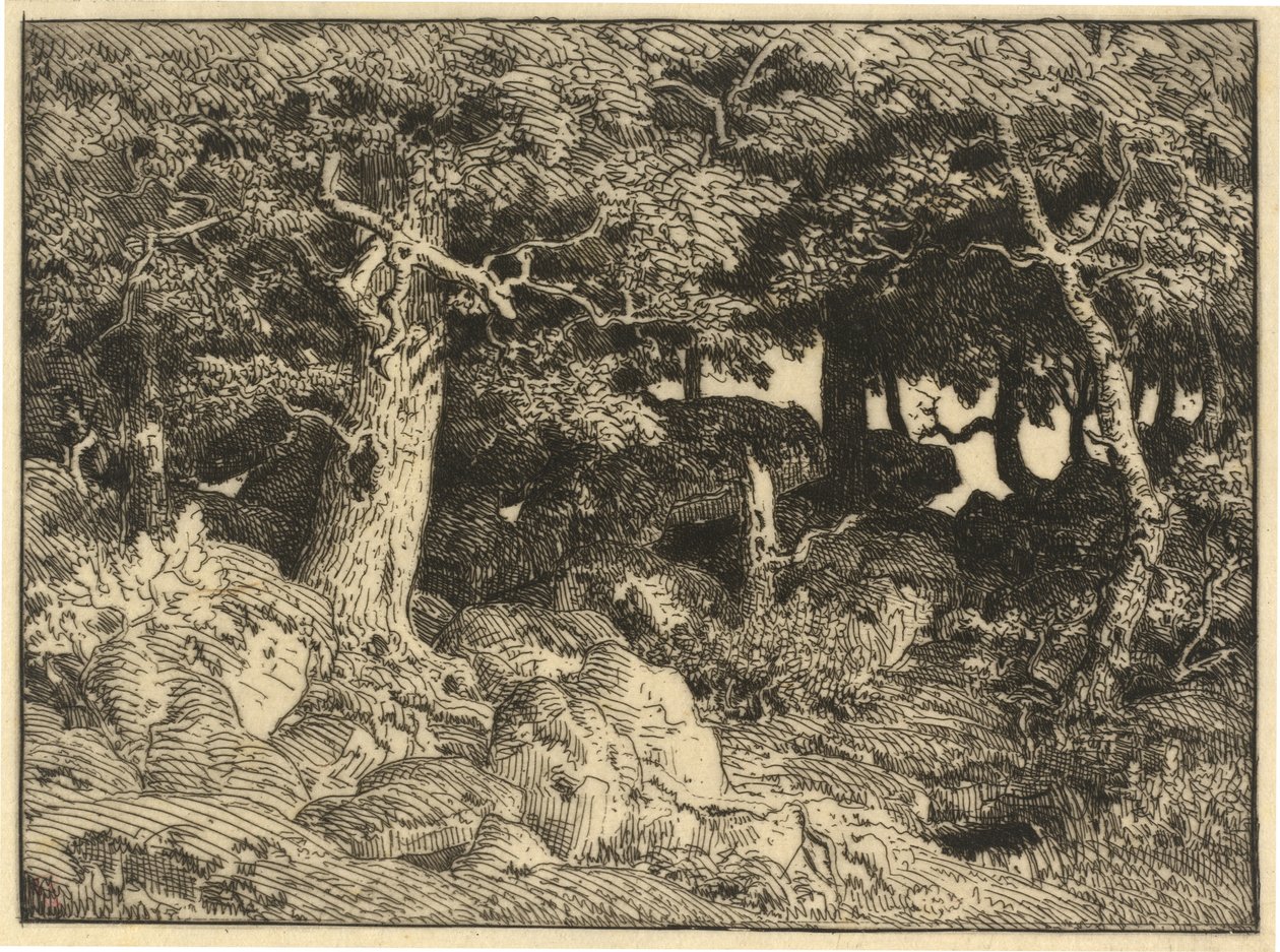Chenes de Roche (Skalne Dęby) autorstwa Theodore Rousseau