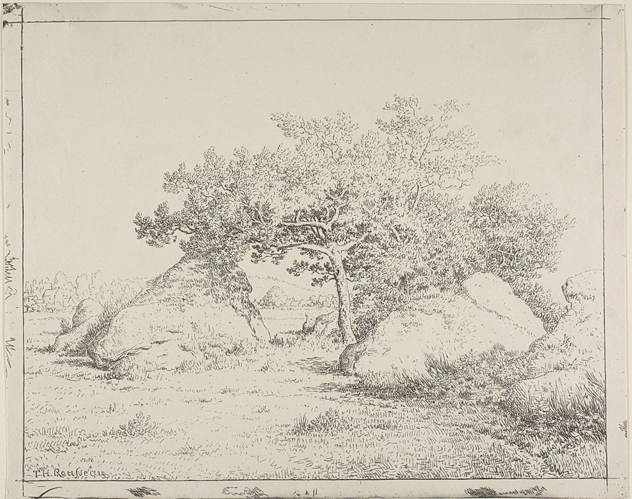 Wiśnia w Plante à Biau autorstwa Theodore Rousseau