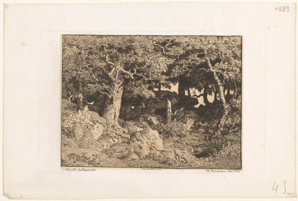 Dęby na skałach Chenes de Roche (tytuł oryginalny) autorstwa Theodore Rousseau