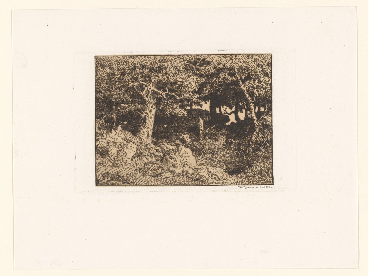 Dęby na skałach Chenes de Roche (tytuł oryginalny) autorstwa Theodore Rousseau
