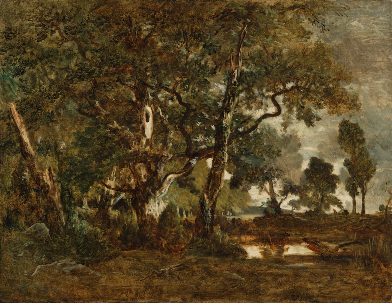 Las Fontainebleau, skupisko wysokich drzew z widokiem na równinę Clair-Bois na skraju Bas-Bréau autorstwa Theodore Rousseau