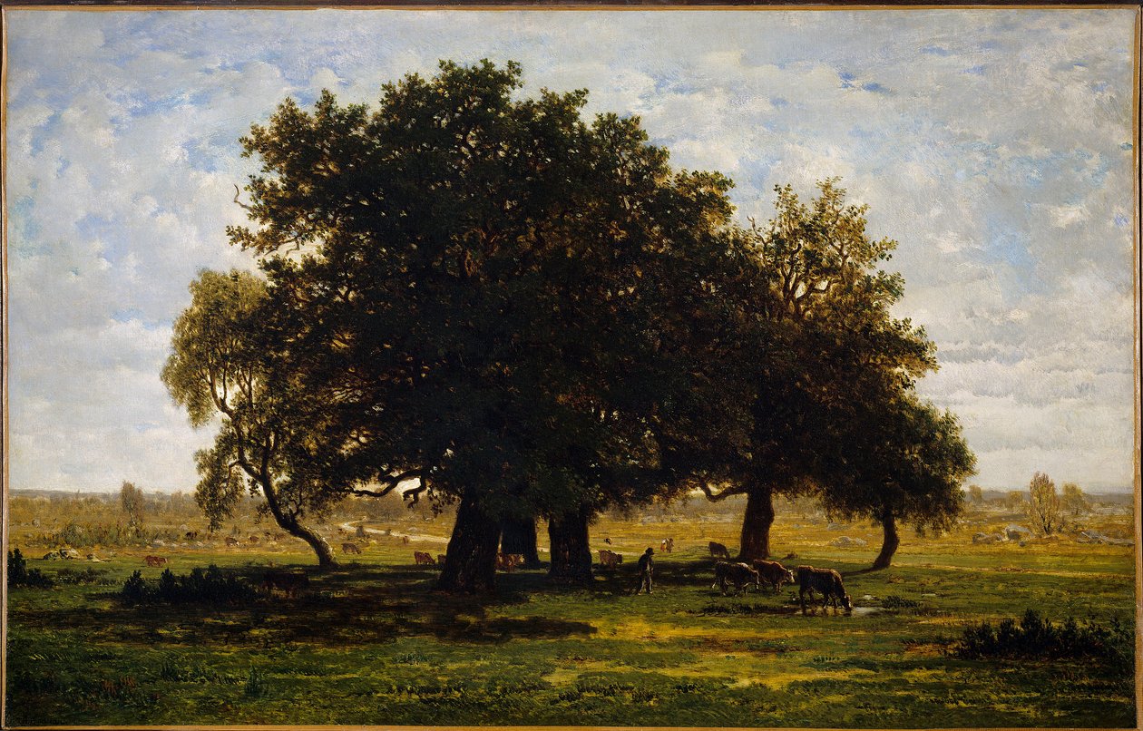 Grupa Chenes, Apremont. Obraz Theodore Rousseau (1812-1867) autorstwa Pierre Etienne Theodore Rousseau