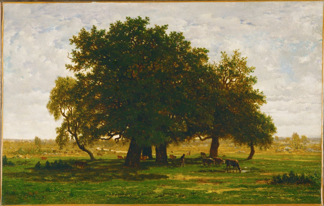 Grupa drzew dębowych, Apremont Grupa drzew dębowych, Apremont, Francja ... autorstwa Theodore Rousseau