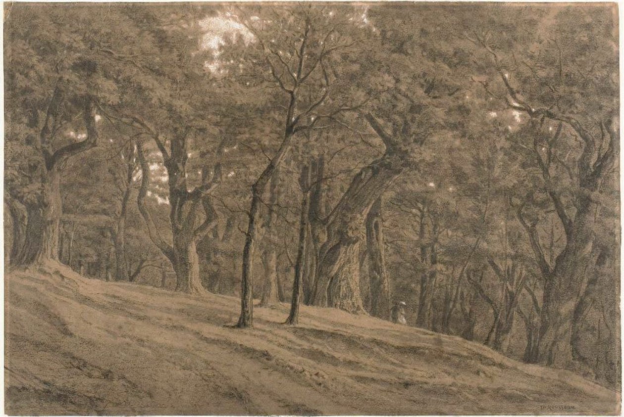 W lesie Fontainbleau autorstwa Theodore Rousseau