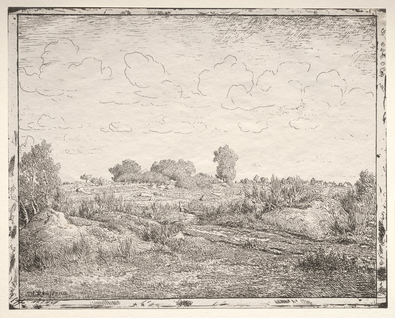 Równina roślin w Biau autorstwa Theodore Rousseau