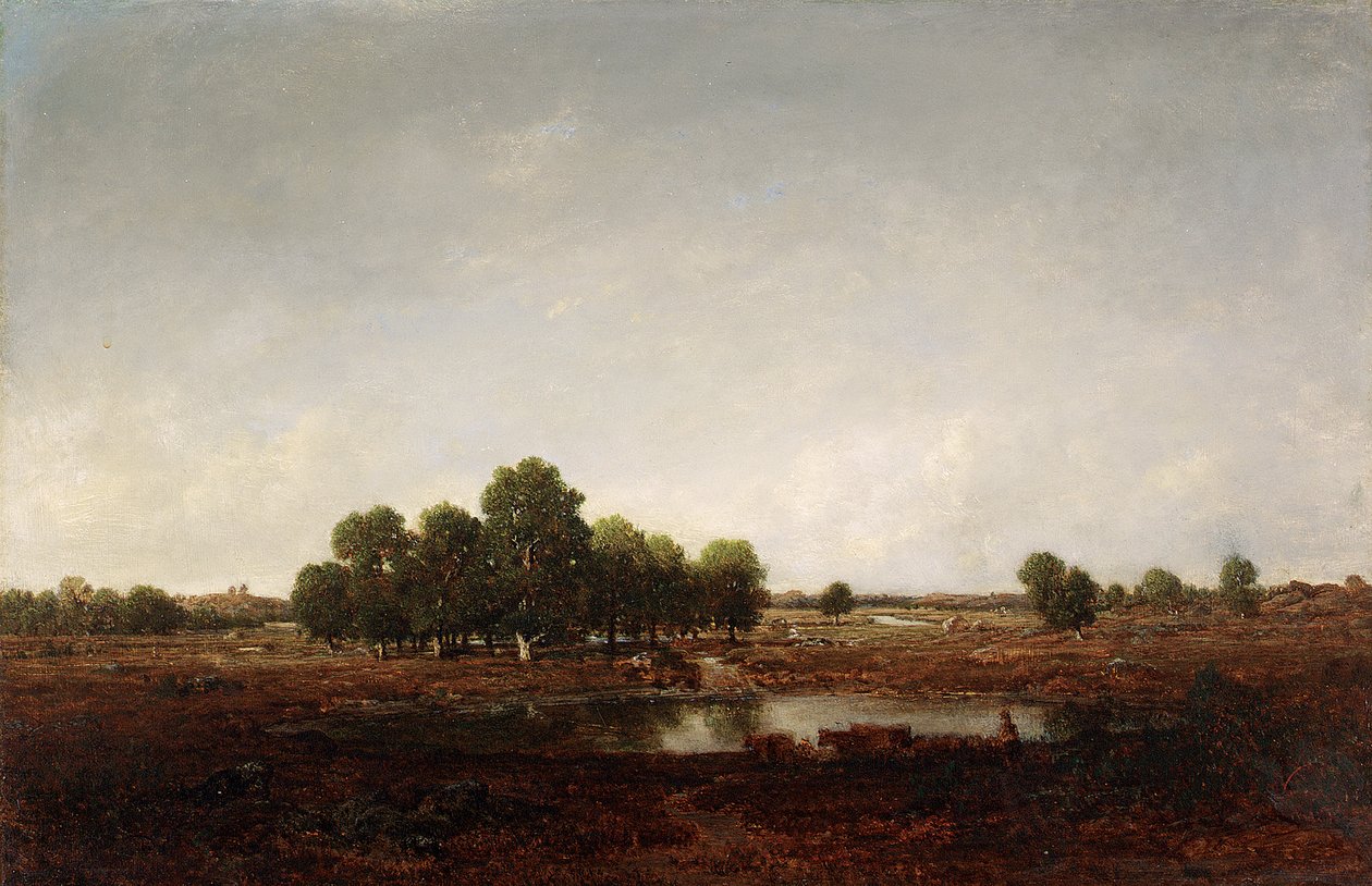 Krajobraz z bagnami autorstwa Pierre Etienne Theodore Rousseau