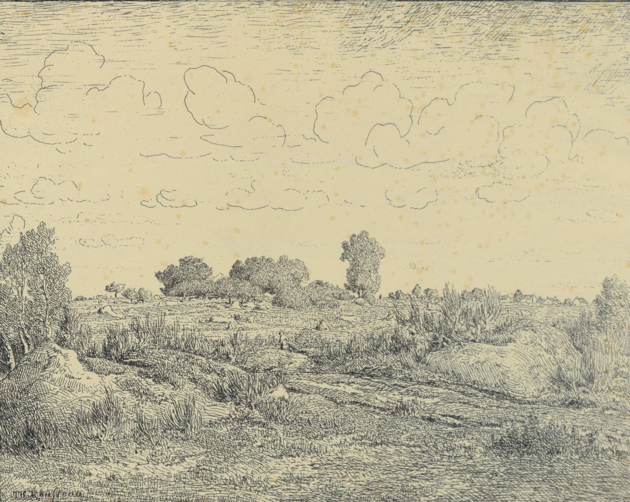 Plaine de La Plante w Biau autorstwa Theodore Rousseau