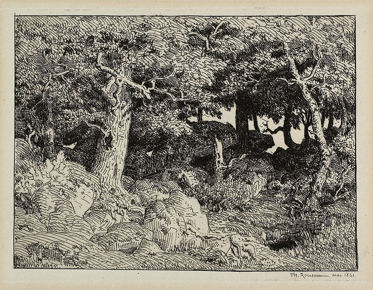 Dąb ze Skał autorstwa Theodore Rousseau