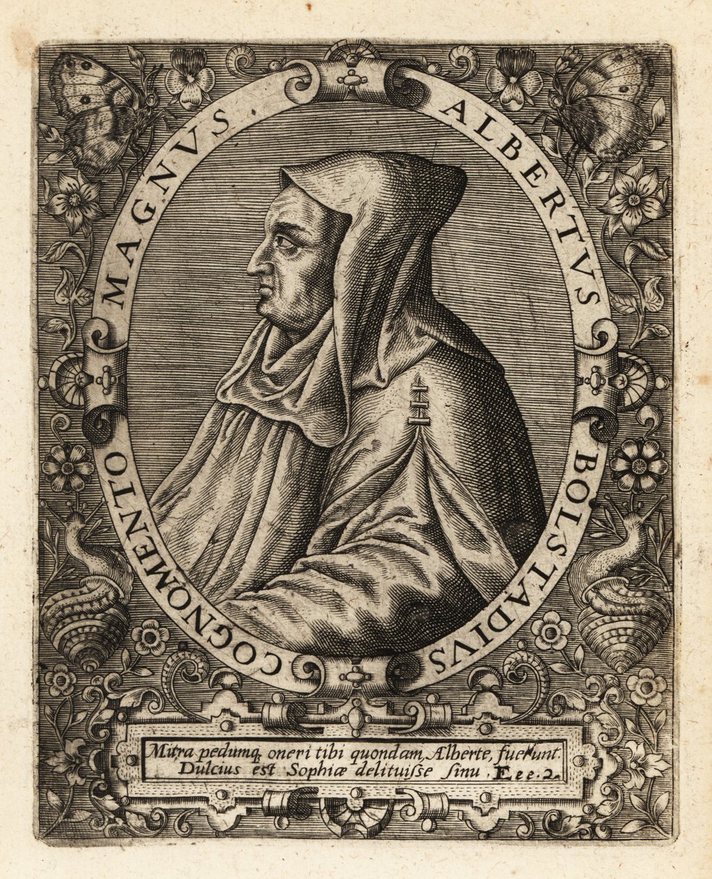 Albertus Magnus, niemiecki biskup katolicki. autorstwa Theodore de Bry