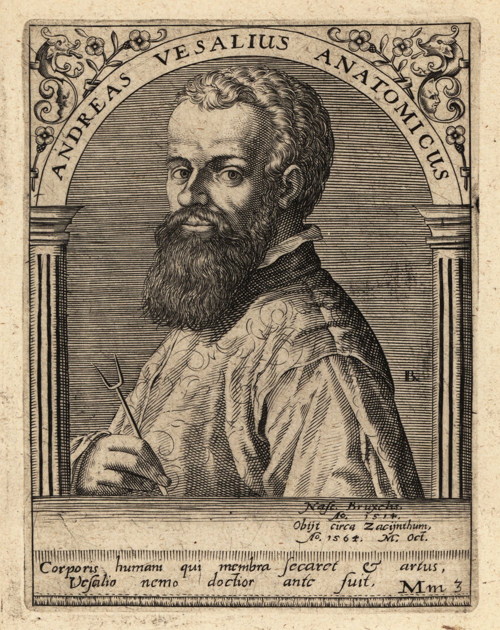 Andreas Vesalius, flamandzki lekarz, anatom autorstwa Theodore de Bry