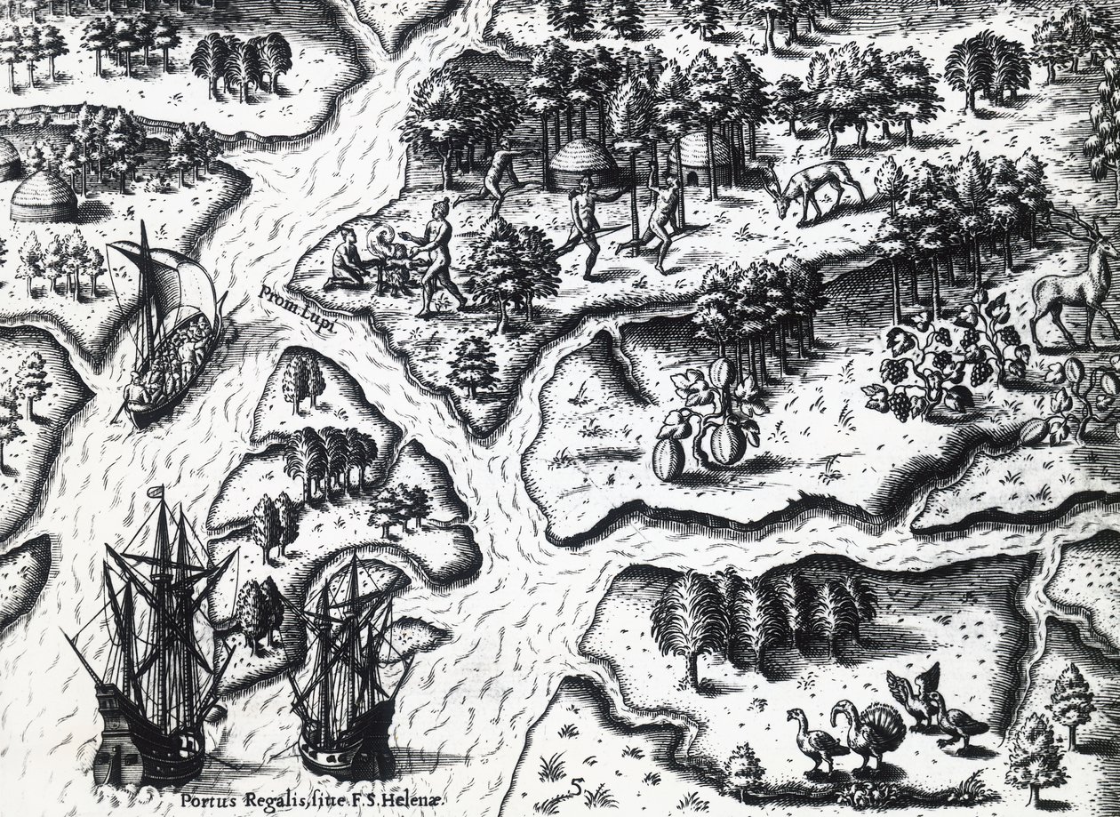 Przybycie Francuzów do Port Royal w 1564 r., Theodor de Bry (1528-1598) z obrazu Jacques le Moyne de Morgues (ok. 1533-przed 1588), rycina autorstwa Theodore de Bry