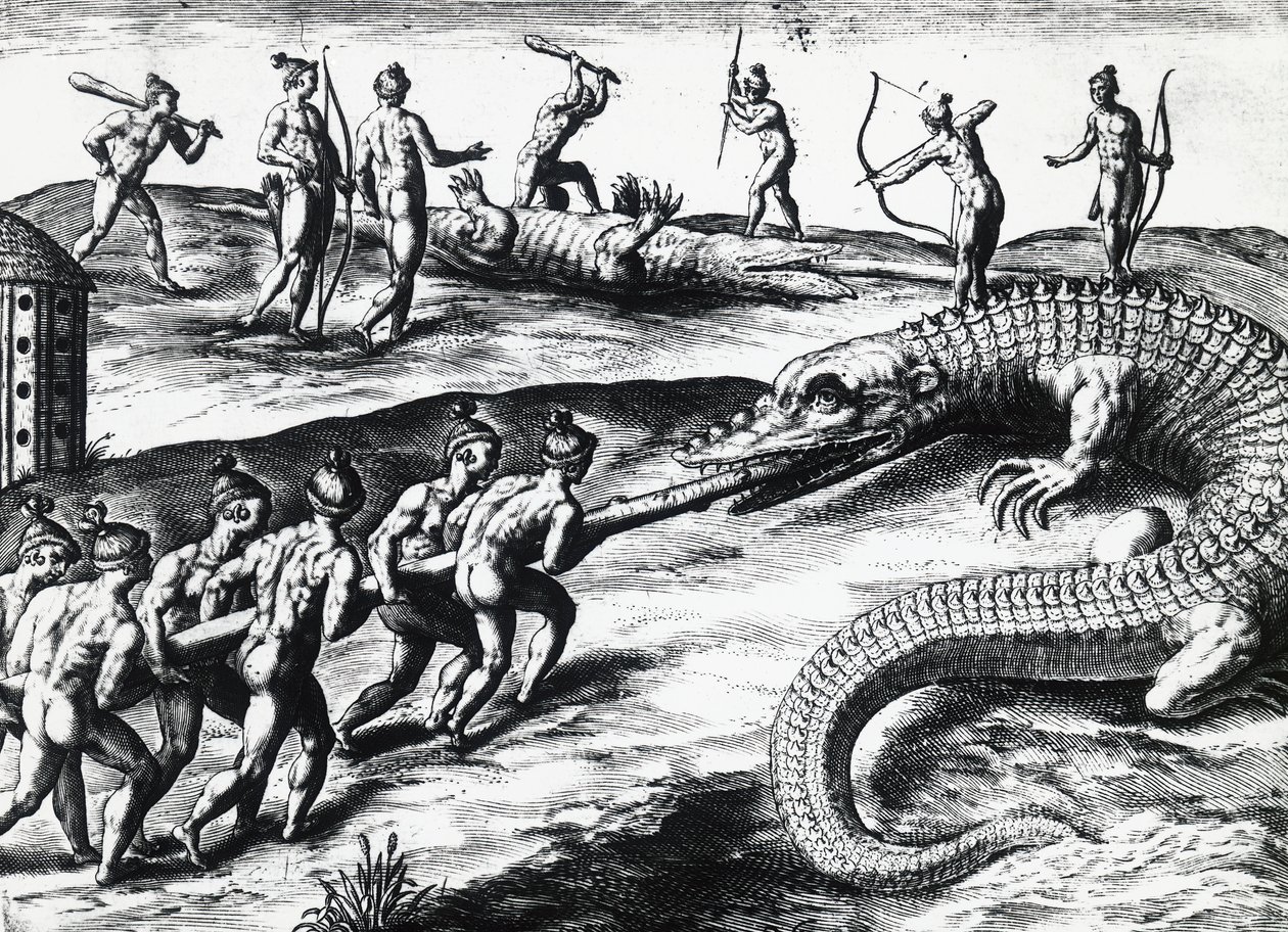Polowanie na krokodyle na Florydzie, z obrazu Jacquesa le Moyne de Morgues (ok. 1533-przed 1588), autorstwa Theodora de Bry (1528-1598). rytownictwo autorstwa Theodore de Bry