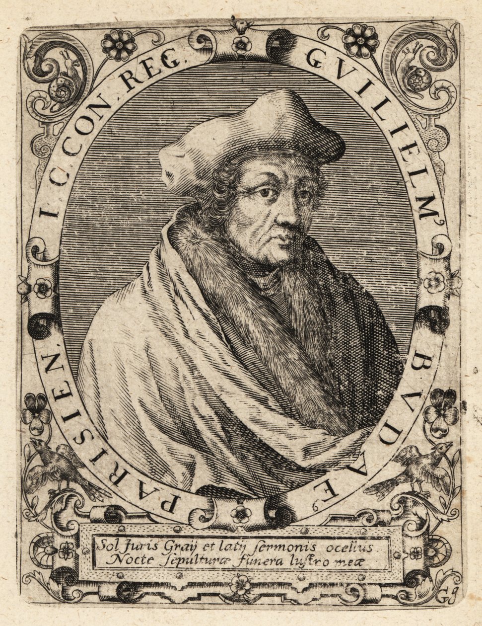 Guillaume Bude autorstwa Theodore de Bry