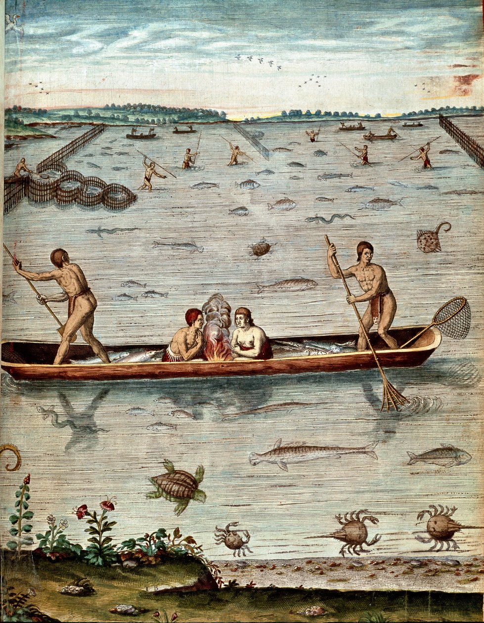 Historia Ameryki: „”łowienie ryb wśród mieszkańców Wirginii”” W wodzie żółwie, kraby i różne odmiany ryb. Grawerowanie z „Admirable Narrative Americae” Theodore de Bry (1528-1598) autorstwa Theodore de Bry