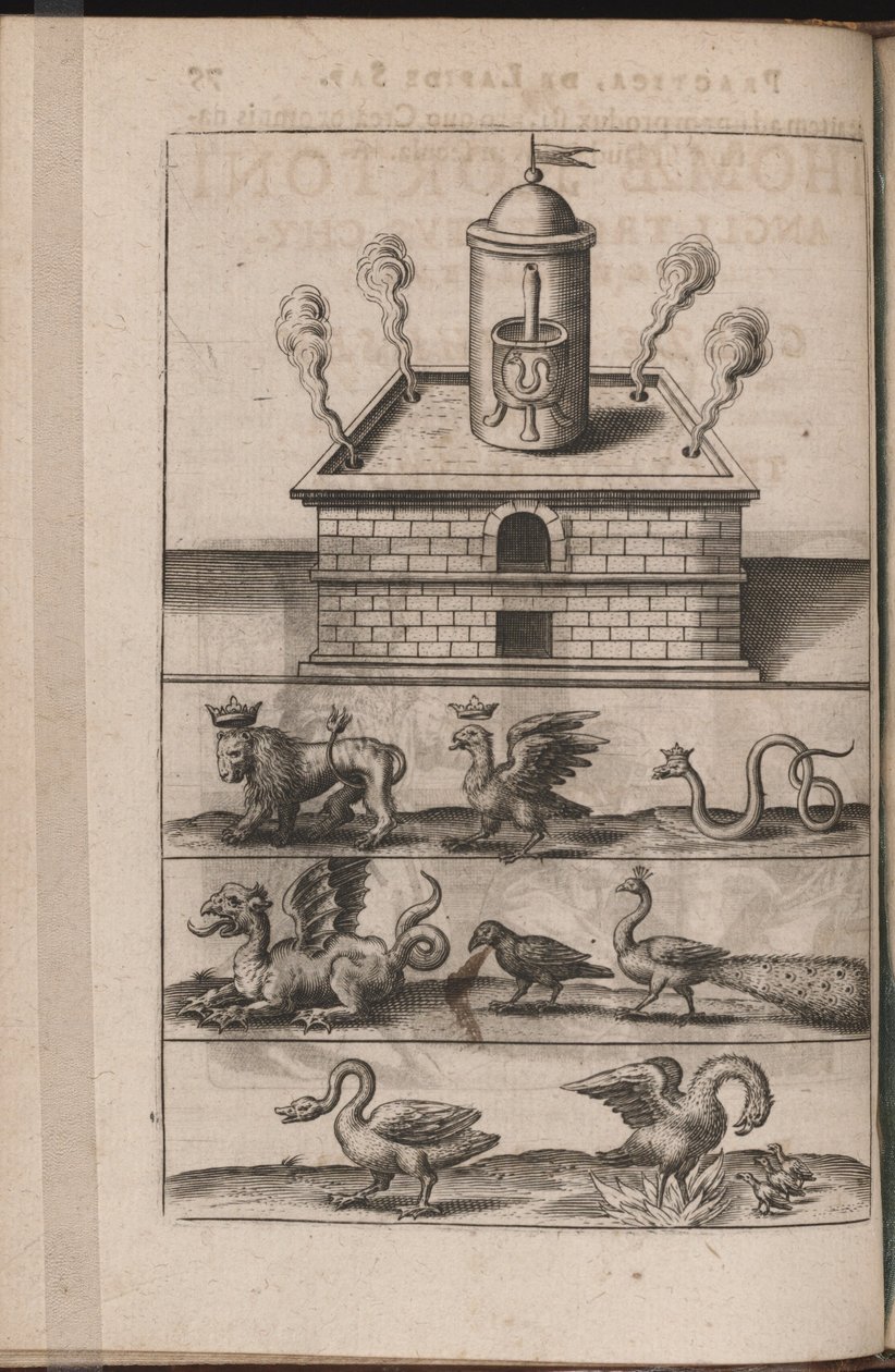 Ilustracja do Tripus Avrevs, czyli trzech traktatów wybranych chemików.., 1618 autorstwa Theodore de Bry