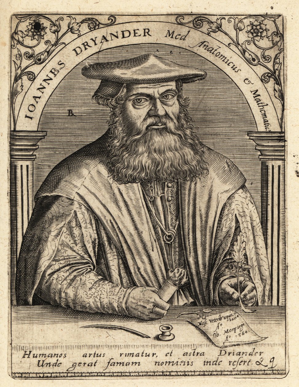 Johann Dryander, niemiecki anatom autorstwa Theodore de Bry
