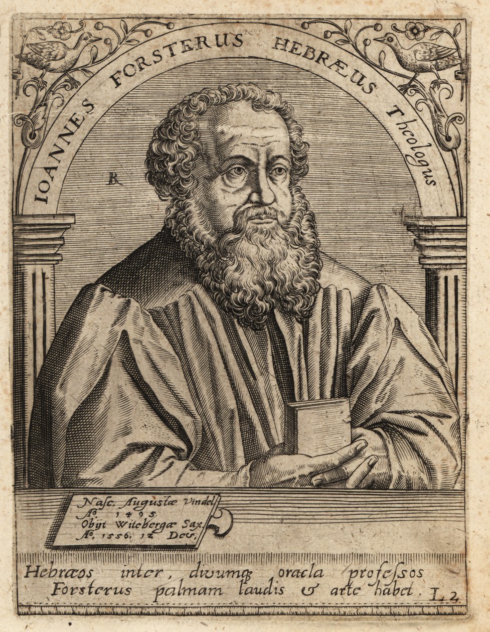 Johann Forster autorstwa Theodore de Bry