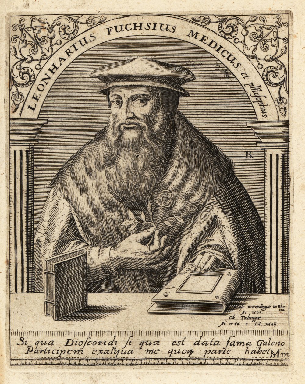 Leonhart Fuchs, niemiecki lekarz i botanik 1501-1566 . autorstwa Theodore de Bry