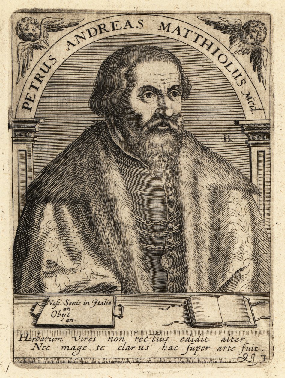 Pietro Andrea Gregorio Mattioli, włoski lekarz autorstwa Theodore de Bry