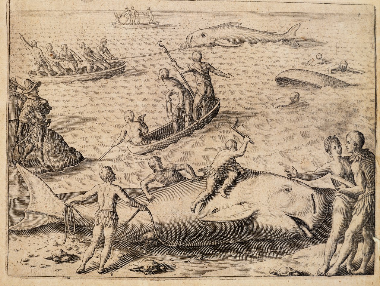 Wielorybnictwo w pobliżu Spitsbergenu, grawerowanie Theodora de Bry (1528-1598) z India Orientalis (Indie Wschodnie) autorstwa Theodore de Bry