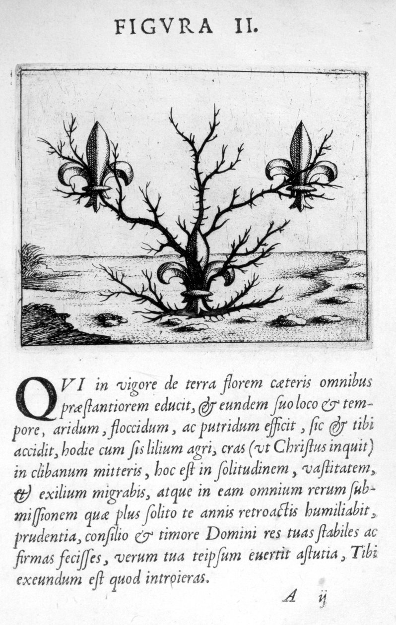 Figura proroctwa II z Prognostyki Doktora Eximii Paracelsusa, 1536 autorstwa Theophrastus Bombastus von Hohenheim Paracelsus