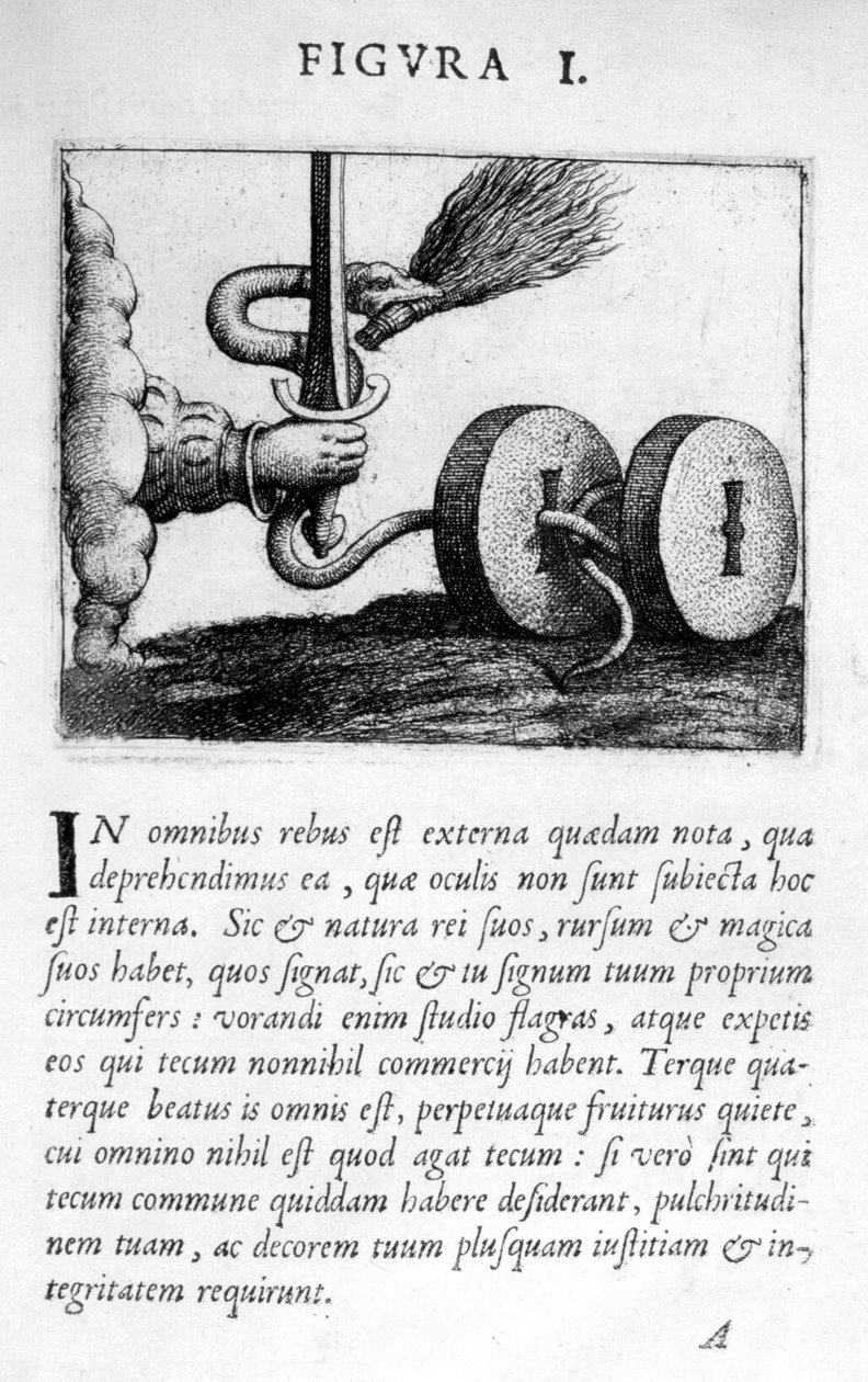 I postać proroctwa z Prognosticatio eimii Doctoris Paracelsi, 1536 autorstwa Theophrastus Bombastus von Hohenheim Paracelsus
