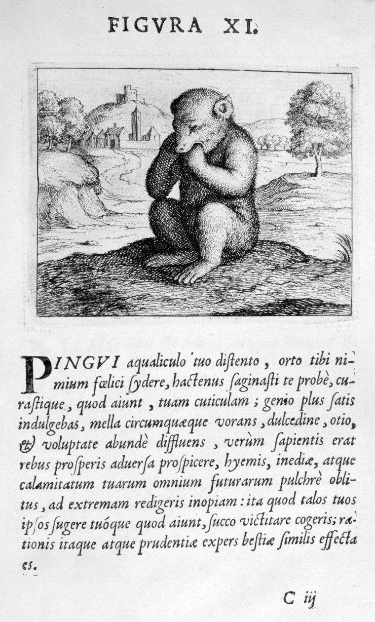 Figura proroctwa XI z Prognozy doktora Eximii Paracelsusa, 1536 autorstwa Theophrastus Bombastus von Hohenheim Paracelsus
