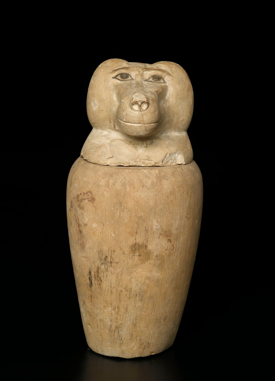 Słój kanopski (wapień) autorstwa Third Intermediate Period Egyptian