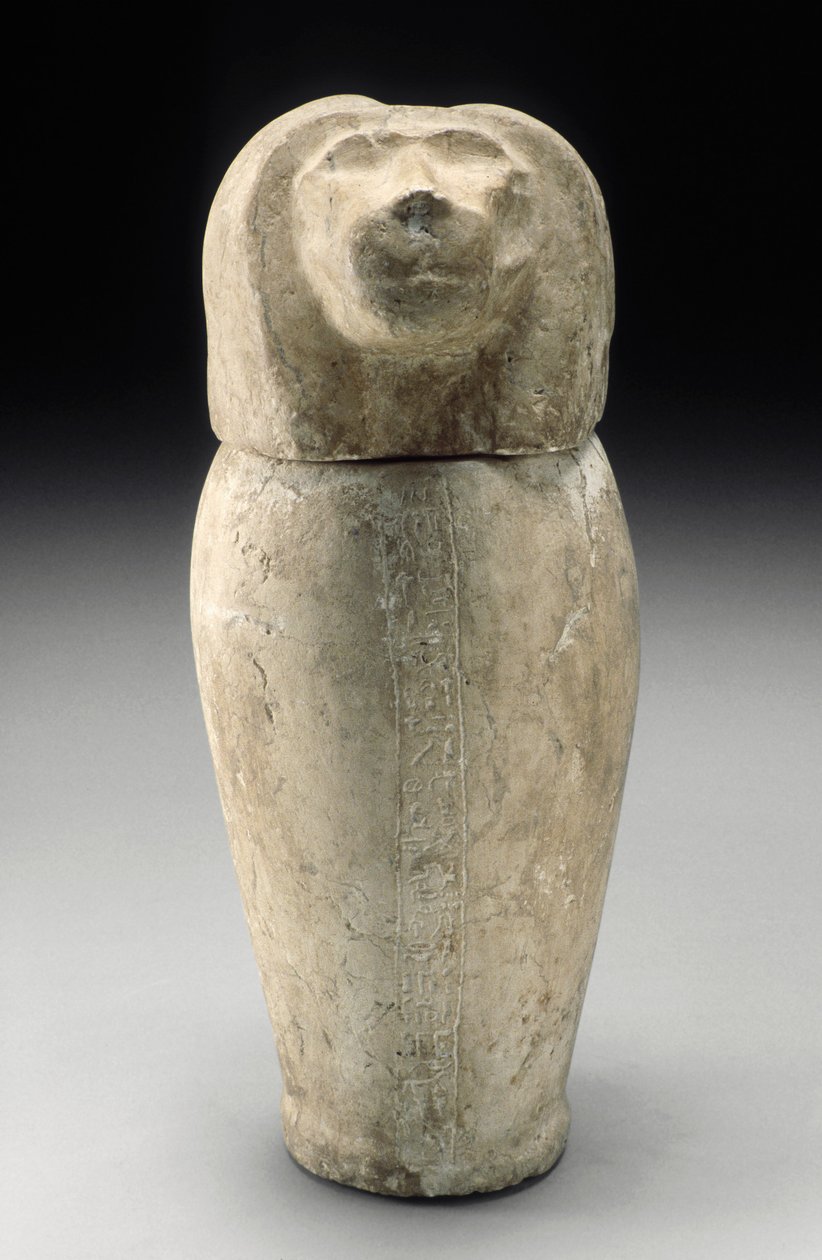Słój kanopski z głową cynocefaliczną (wapień) autorstwa Third Intermediate Period Egyptian