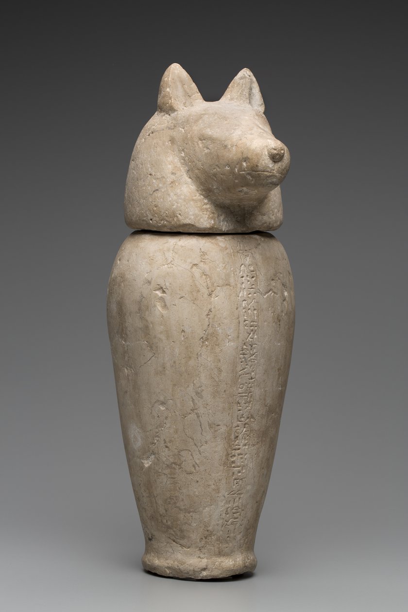 Słój kanopski z głową szakala (wapień) autorstwa Third Intermediate Period Egyptian