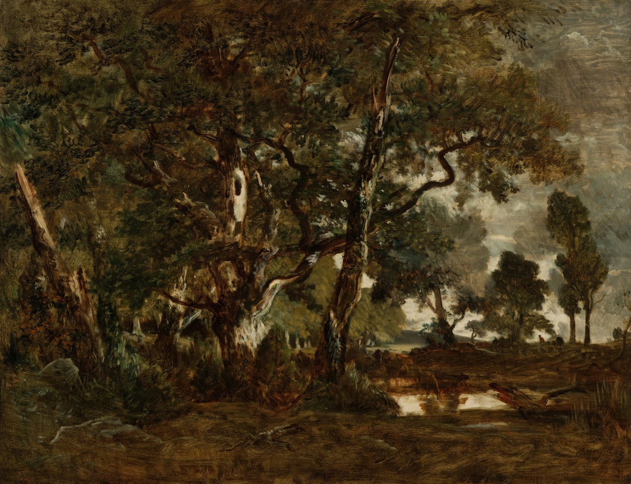 Las Fontainebleau, kępa wysokich drzew z widokiem na równinę Clair-Bois na skraju Ba... autorstwa Pierre Etienne Theodore Rousseau