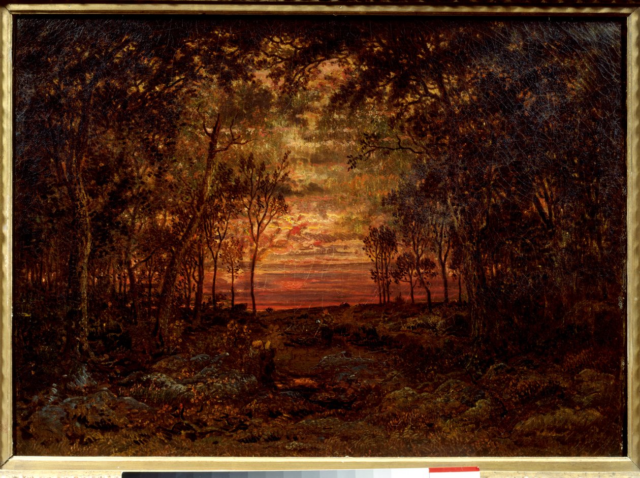 Zachód słońca w lesie Obraz Theodore Rousseau (1812-1867) XIX-wieczna szkoła Barbizon. Ciemny. 0,46x0,62m. Olej na płótnie. . autorstwa Pierre Etienne Theodore Rousseau