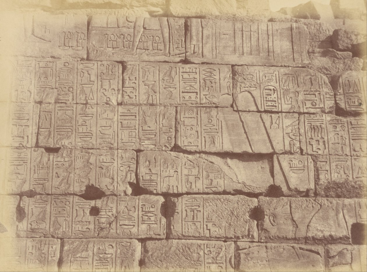 (Zbliżenie na inskrypcje i rzeźby hieroglificzne (Lista pokonanych narodów), Karnak) autorstwa Théodule Devéria