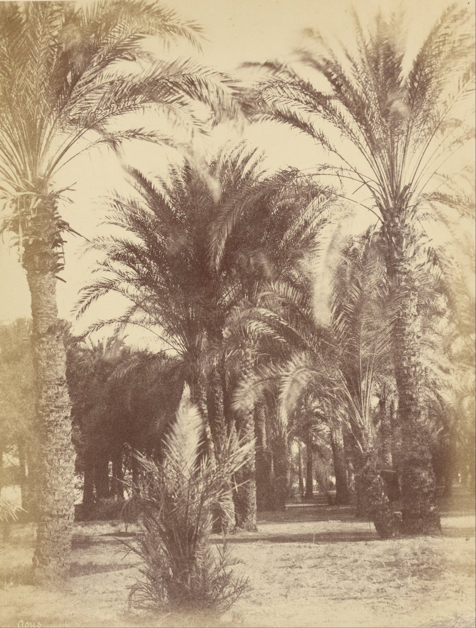 Gous autorstwa Théodule Devéria