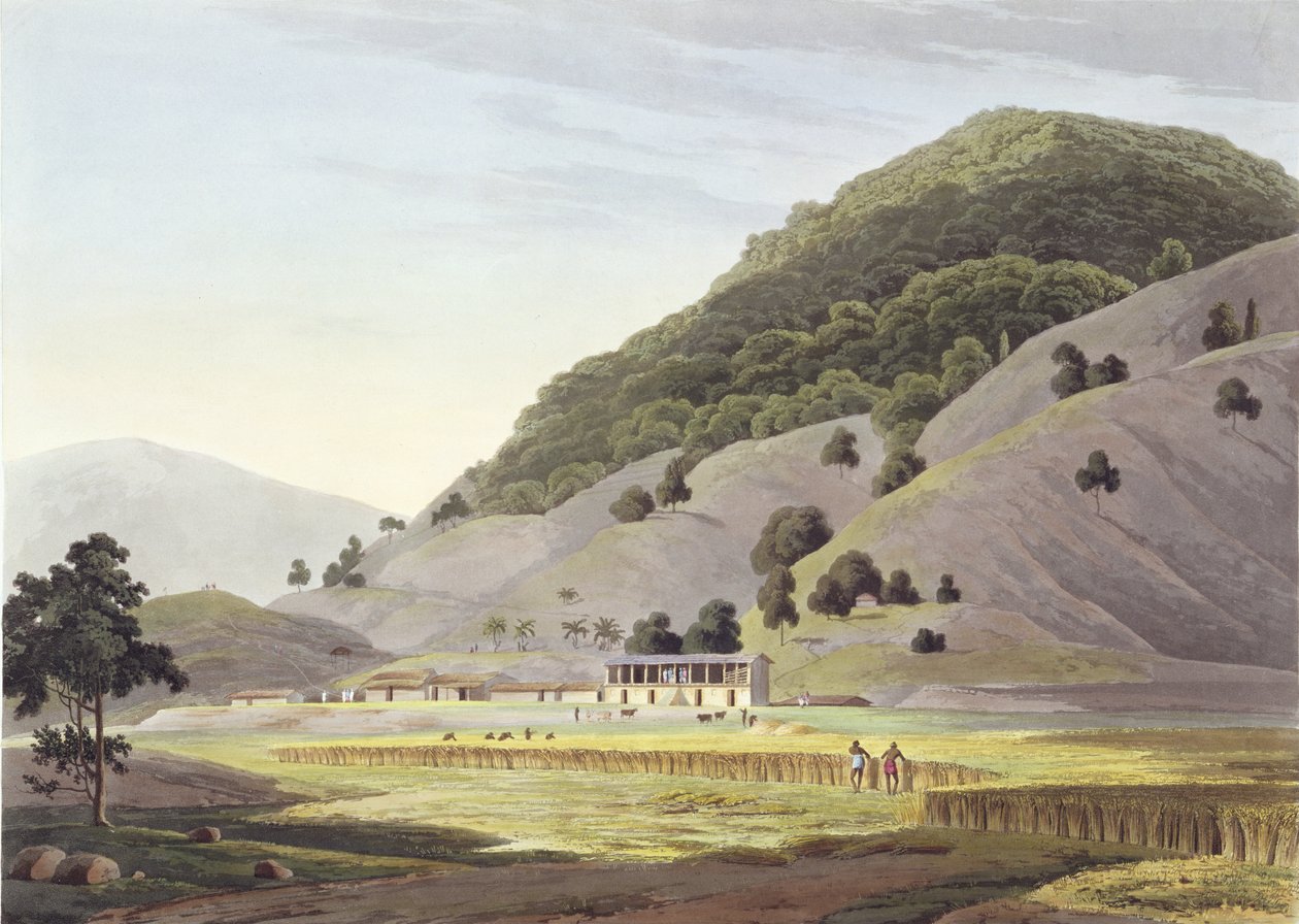 Jugeanor, w górach Sirinagur, tablica 142 z 