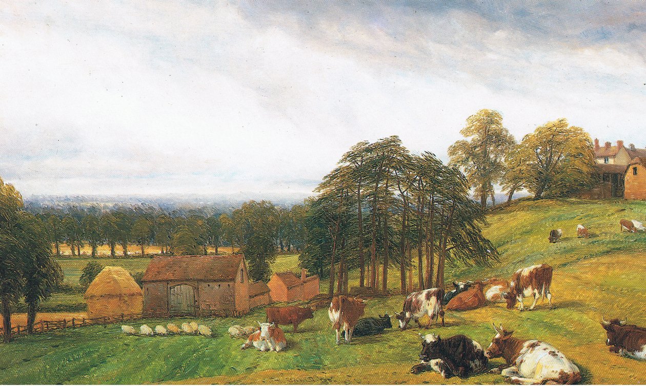 Bydło i owce na Farmie Stary Park autorstwa Thomas Baker