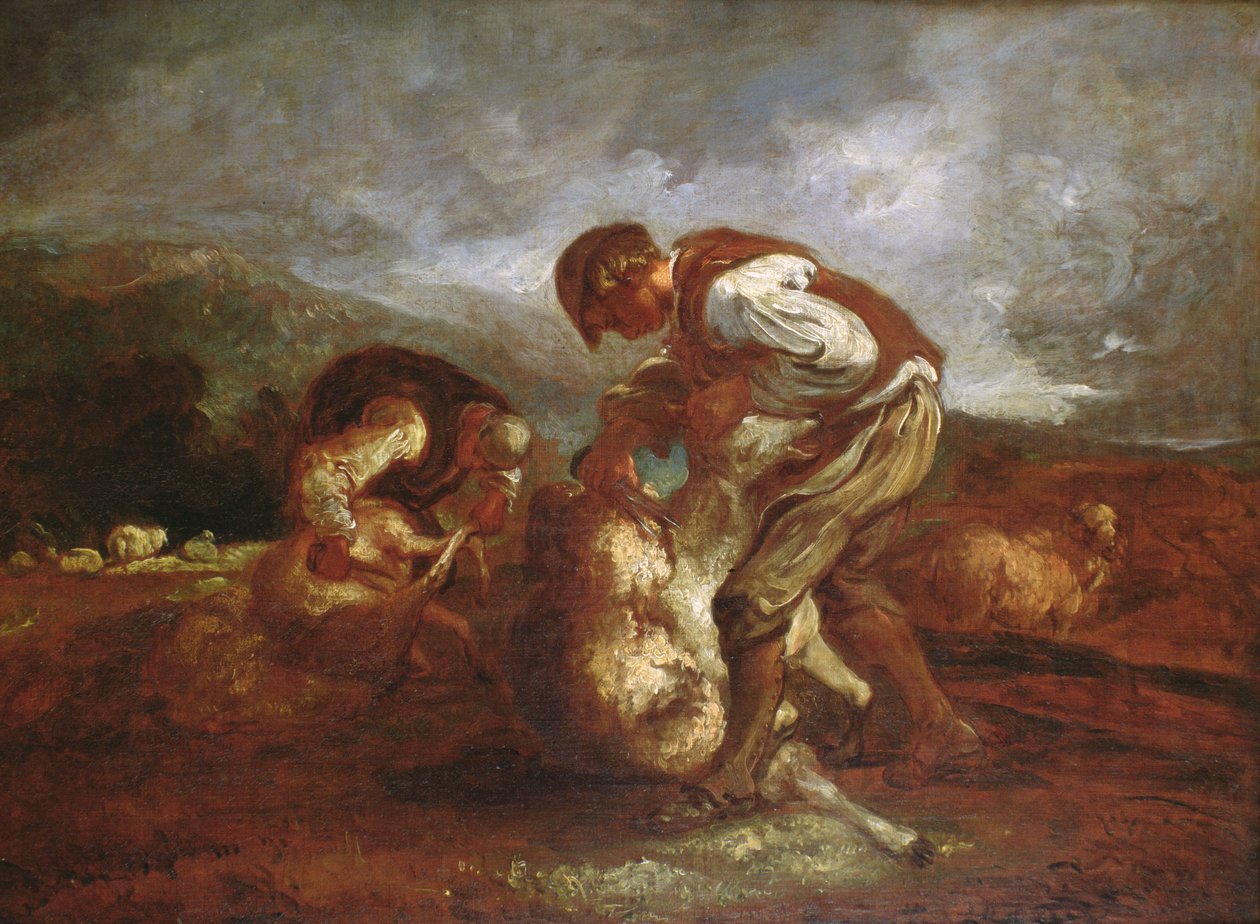 Strzyżenie owiec autorstwa Thomas Barker of Bath