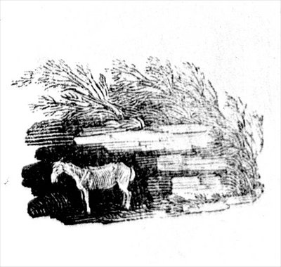 Osioł z historii brytyjskich ptaków i czworonogów autorstwa Thomas Bewick
