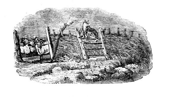 Owczarek i owczarnia z historii brytyjskich ptaków i czworonogów autorstwa Thomas Bewick