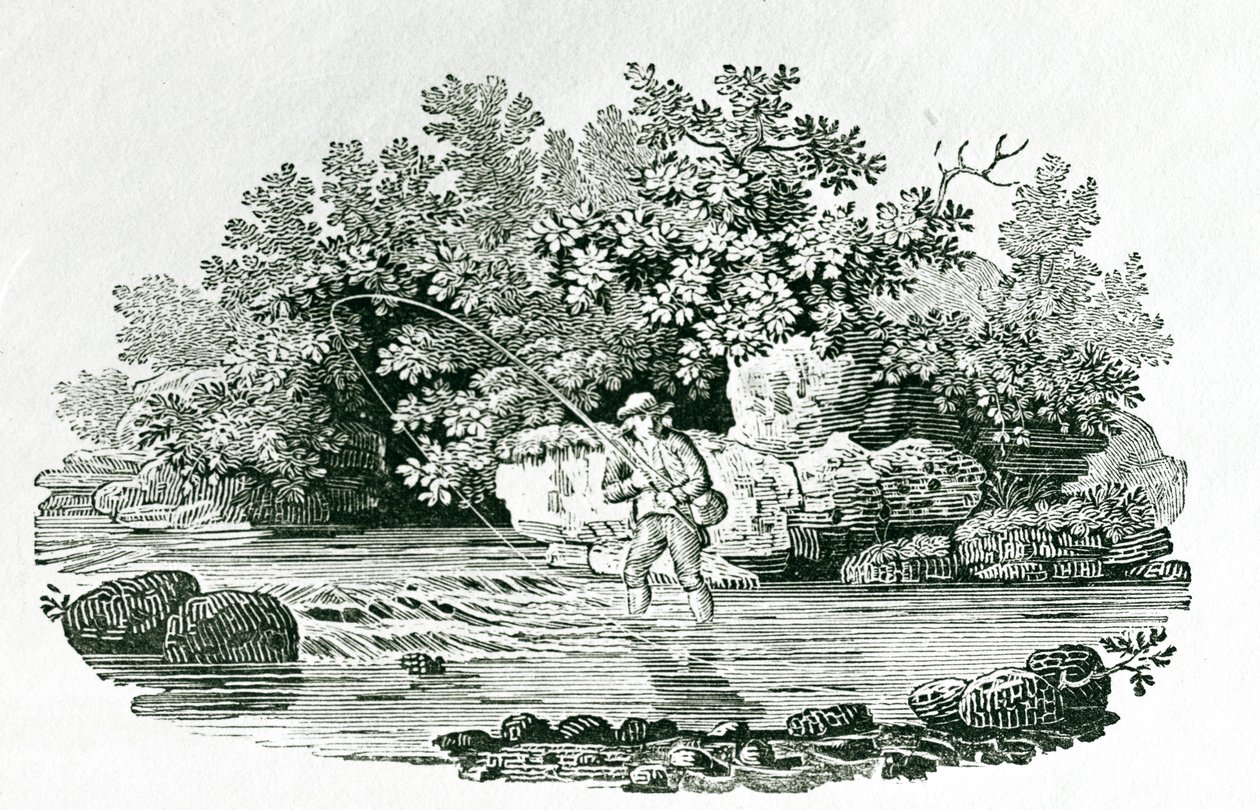 Wędkarz w sadzawce, z „British Birds”, 1804 (drewno) autorstwa Thomas Bewick