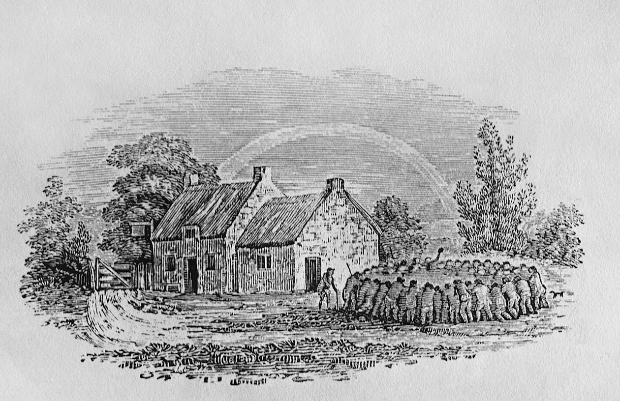 Walka kogutów poza karczmą, ok. 1801, z „Landbirds”, opublikowana w 1805 r. autorstwa Thomas Bewick
