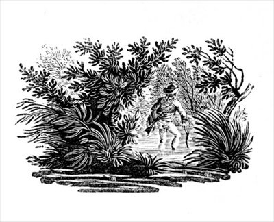 Przeprawa przez rzekę, z „Ptaki lądowe”, c. 1797 (drewno grawerowane) autorstwa Thomas Bewick