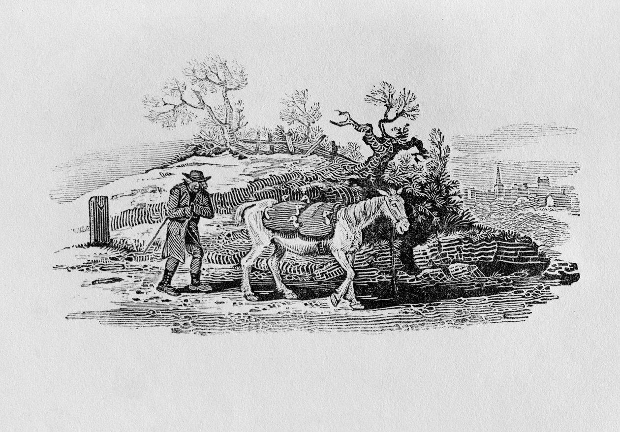 Gęsi przywiezione na targ z „Historii brytyjskich ptaków i czworonogów” autorstwa Thomas Bewick