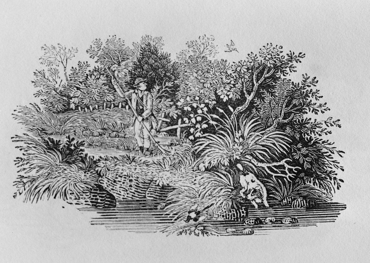 Szukamy Strzały, koniec XVIII lub początek XIX wieku (drzeworyt) autorstwa Thomas Bewick