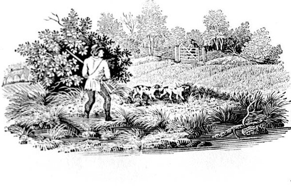 Sportowiec z dwoma psami z ptaków lądowych 1797 (drewno) autorstwa Thomas Bewick