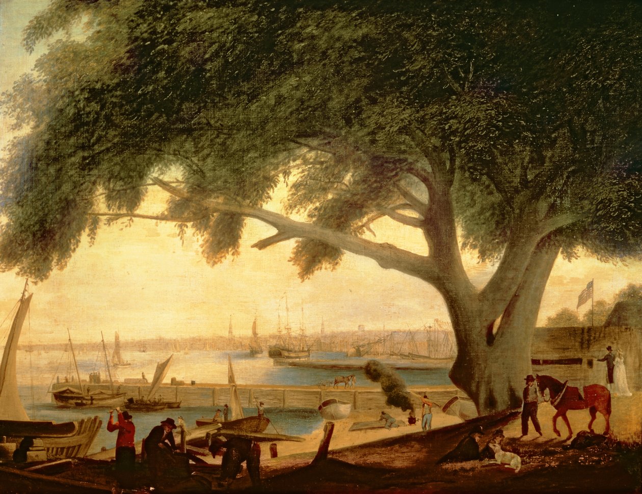 Drzewo traktatu Penna autorstwa Thomas Birch